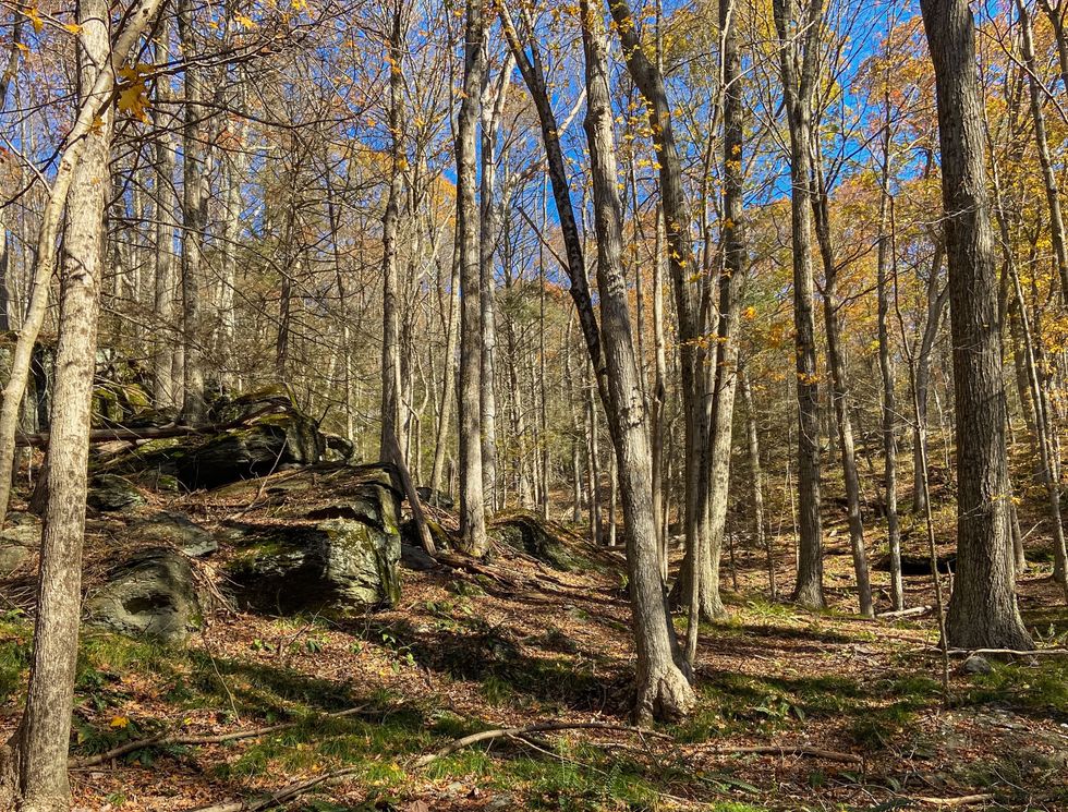 Landowners donate acreage, easement to Land Trust