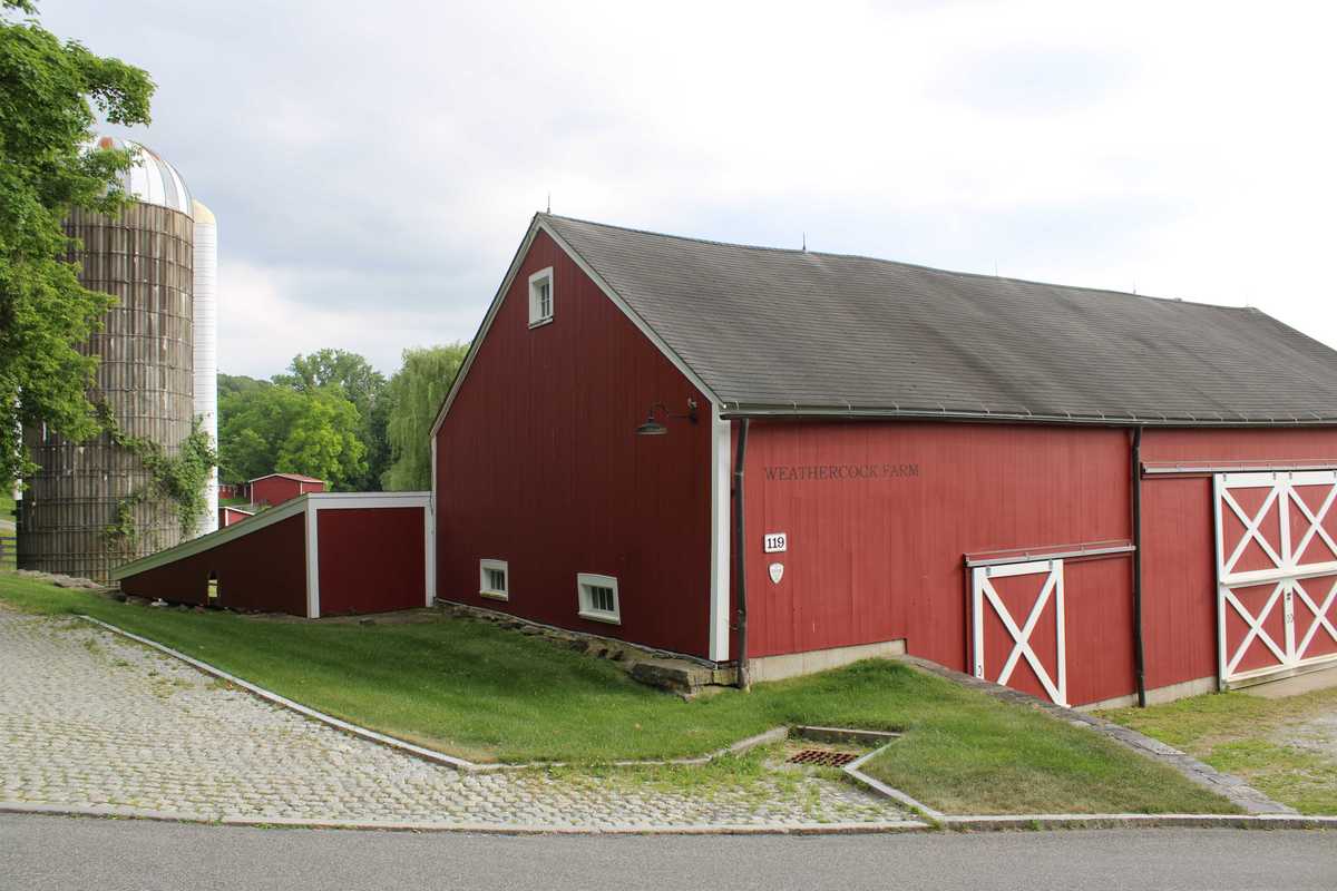 Chicken dispute prompts Sharon zoning change