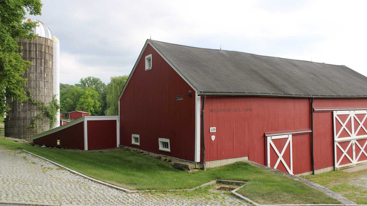 Chicken dispute prompts Sharon zoning change