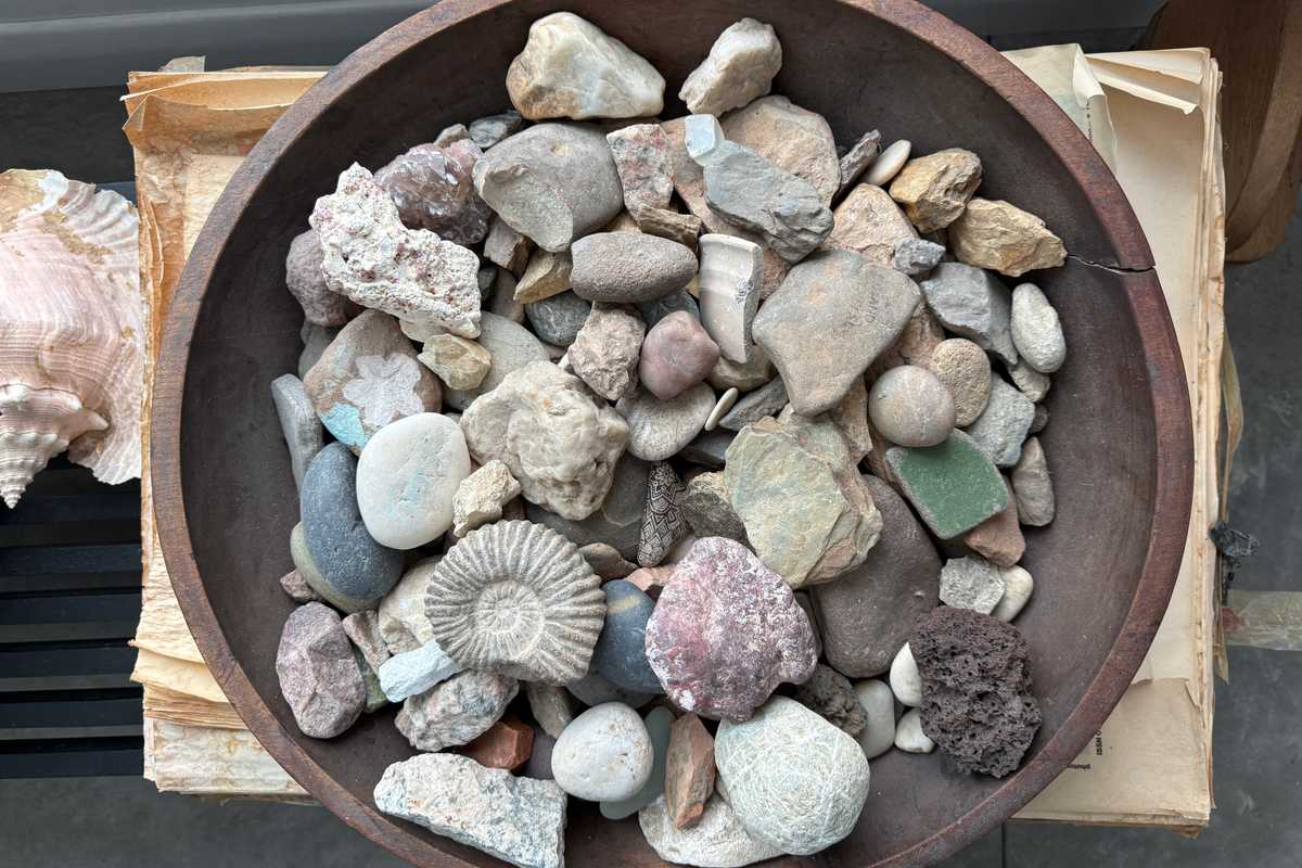 A bowl full of stars