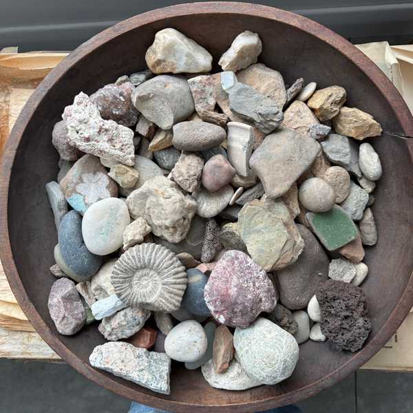 A bowl full of stars