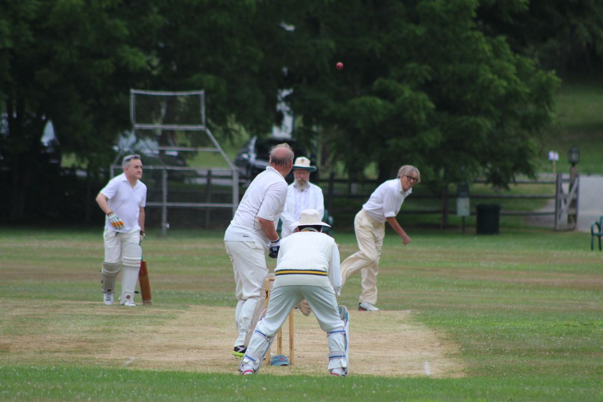 Classic cricket comes to Lakeville