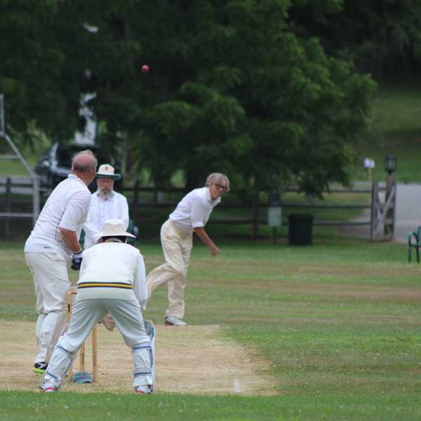Classic cricket comes to Lakeville