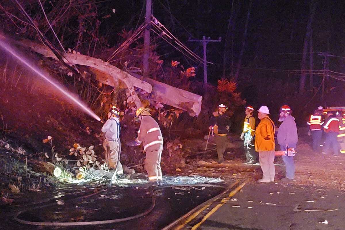 Fatal crash in Norfolk leads to brush fire