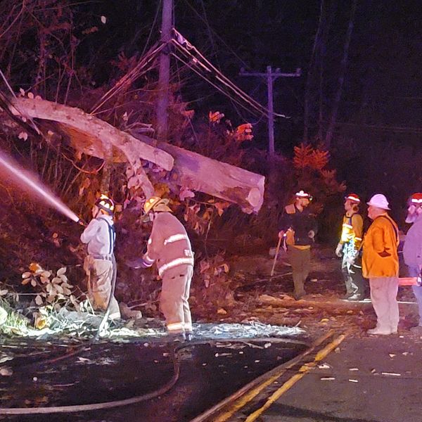 Fatal crash in Norfolk leads to brush fire