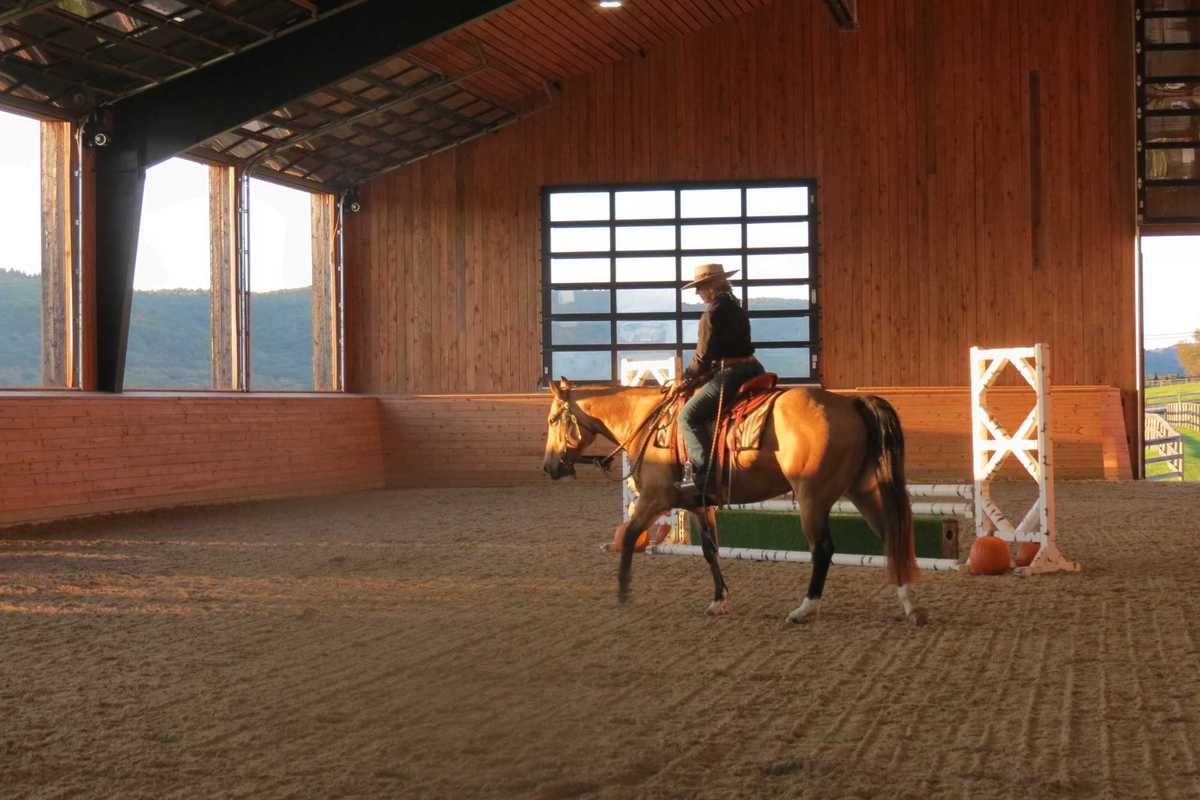 Horses take center stage at Equus Effect fundraiser