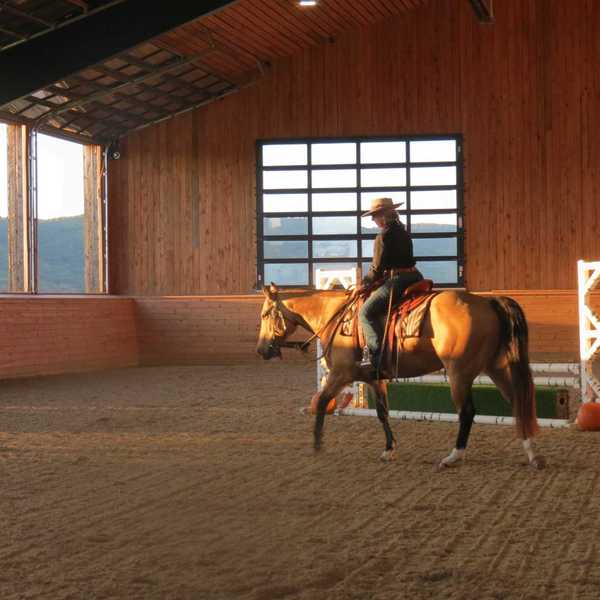 Horses take center stage at Equus Effect fundraiser