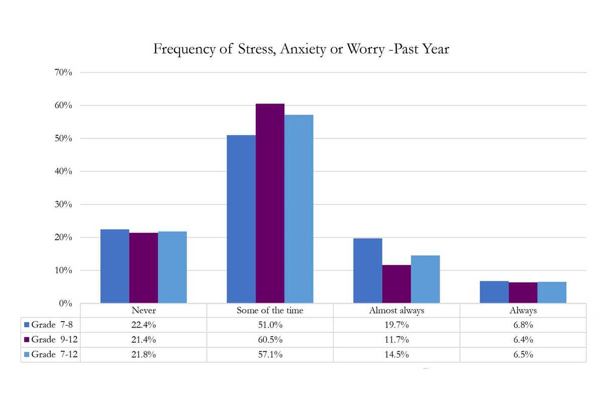 2025 Region One student survey:
Connected and confident — but increasingly anxious