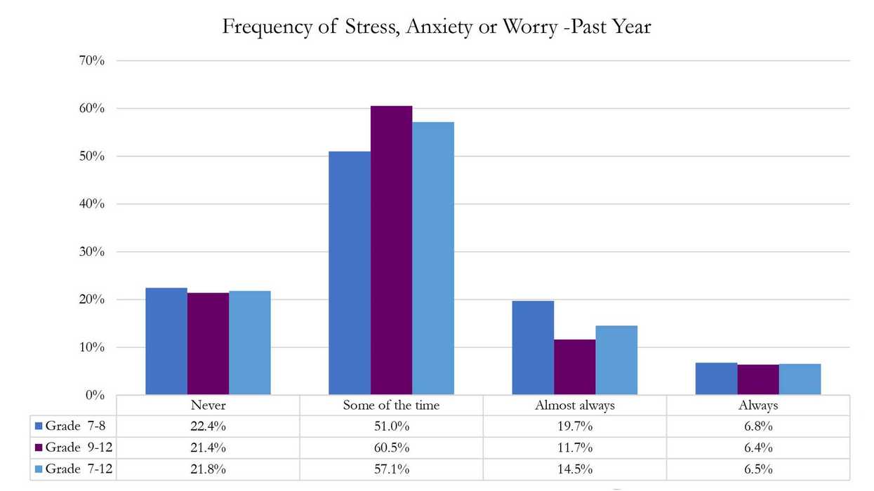 2025 Region One student survey:
Connected and confident — but increasingly anxious