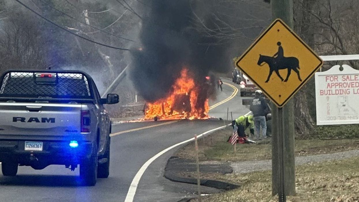 Neighbors pull woman from burning car with seconds to spare