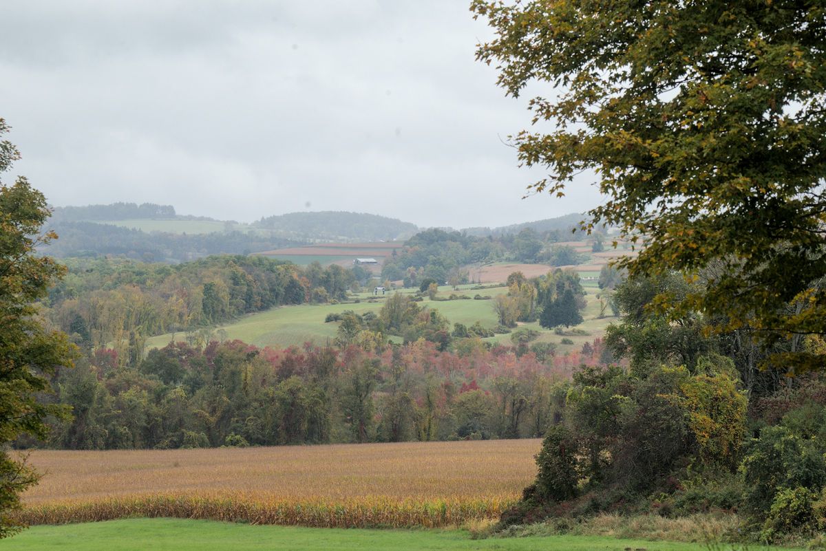 Trees begin to turn with the official start of autumn