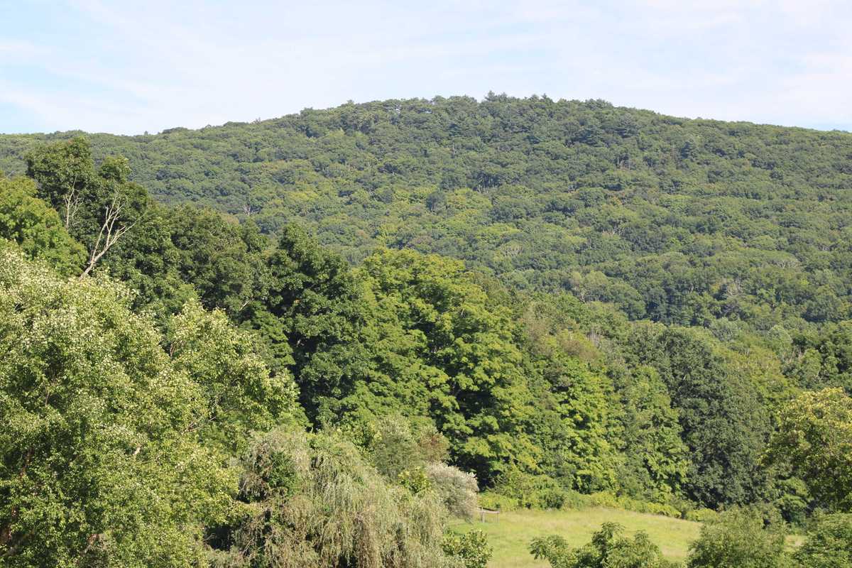 Horizon-line protection headlines P&Z meeting