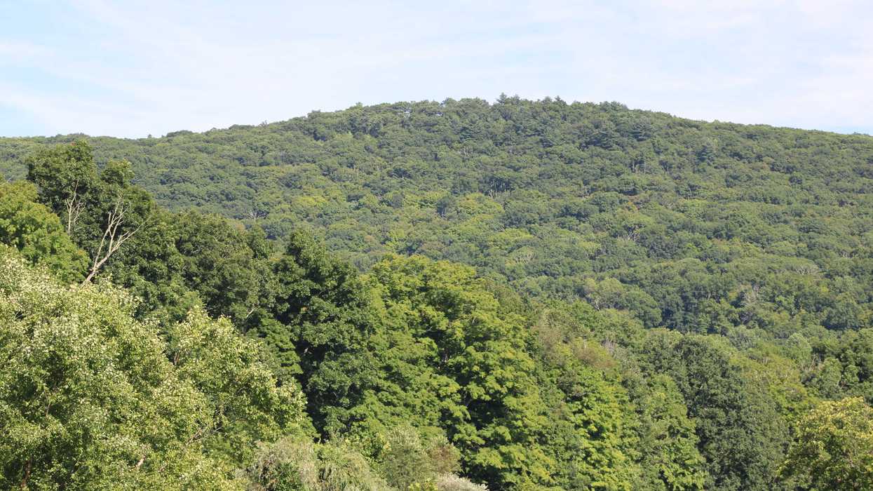 Horizon-line protection headlines P&Z meeting
