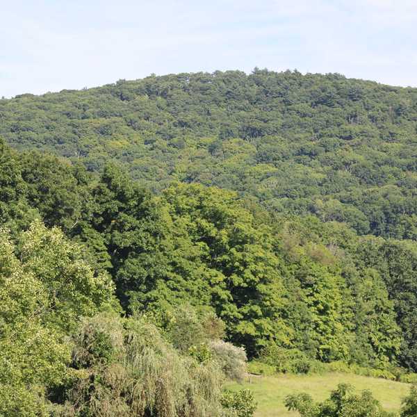 Horizon-line protection headlines P&Z meeting