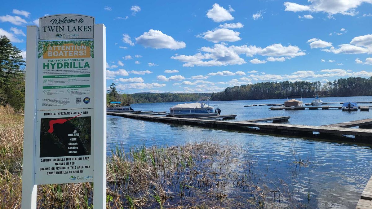 As boating season ramps up, lake groups press lawmakers on hydrilla funding, response gaps