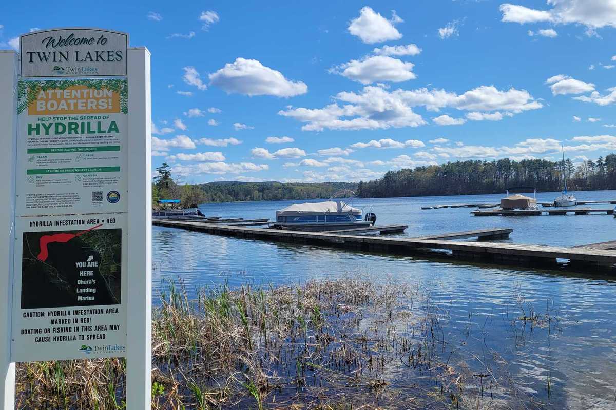 As boating season ramps up, lake groups press lawmakers on hydrilla funding, response gaps