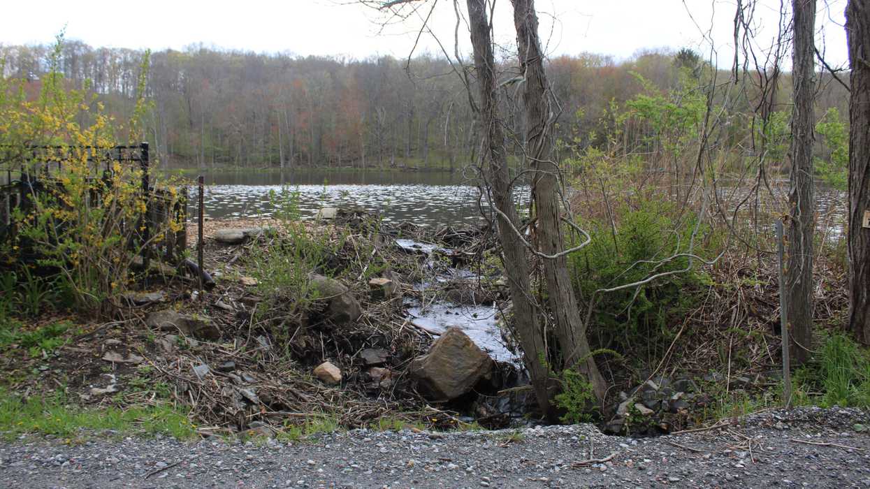Kent cites property owner for unpermitted beaver dam removal