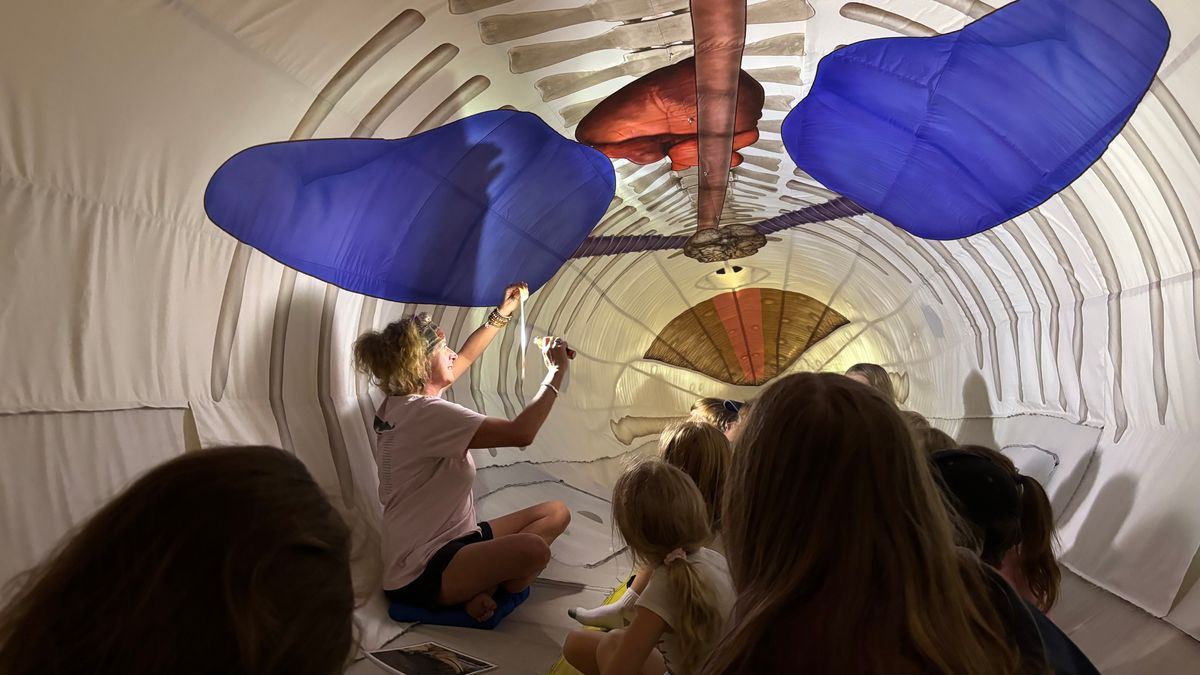 Cornwall kids have a whale of a time at town hall