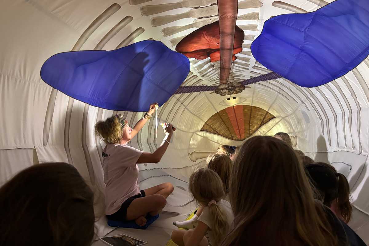 Cornwall kids have a whale of a time at town hall