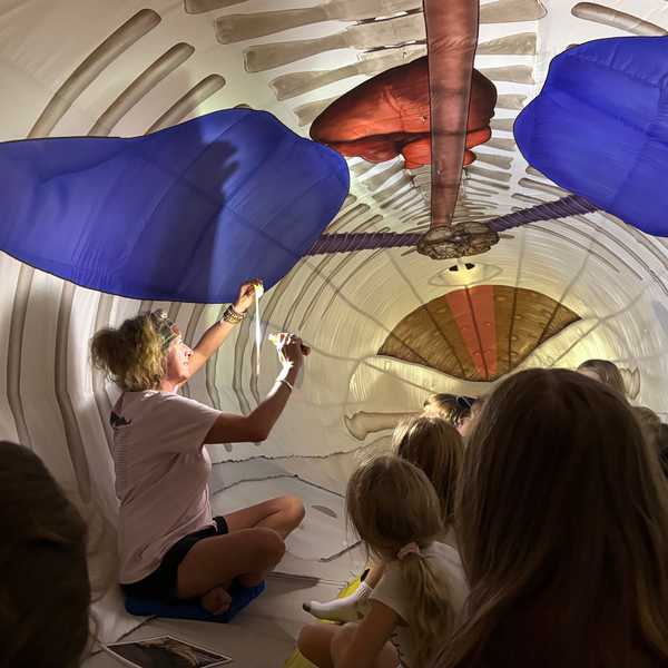 Cornwall kids have a whale of a time at town hall