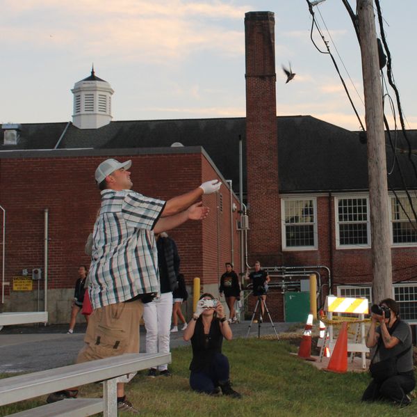 ‘Swift Night’ a hit at Housy