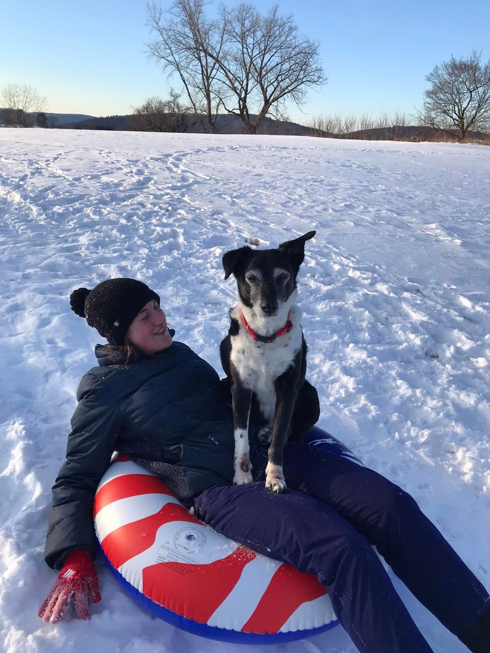 Sliding Into Winter Atop  A Trusted Sled