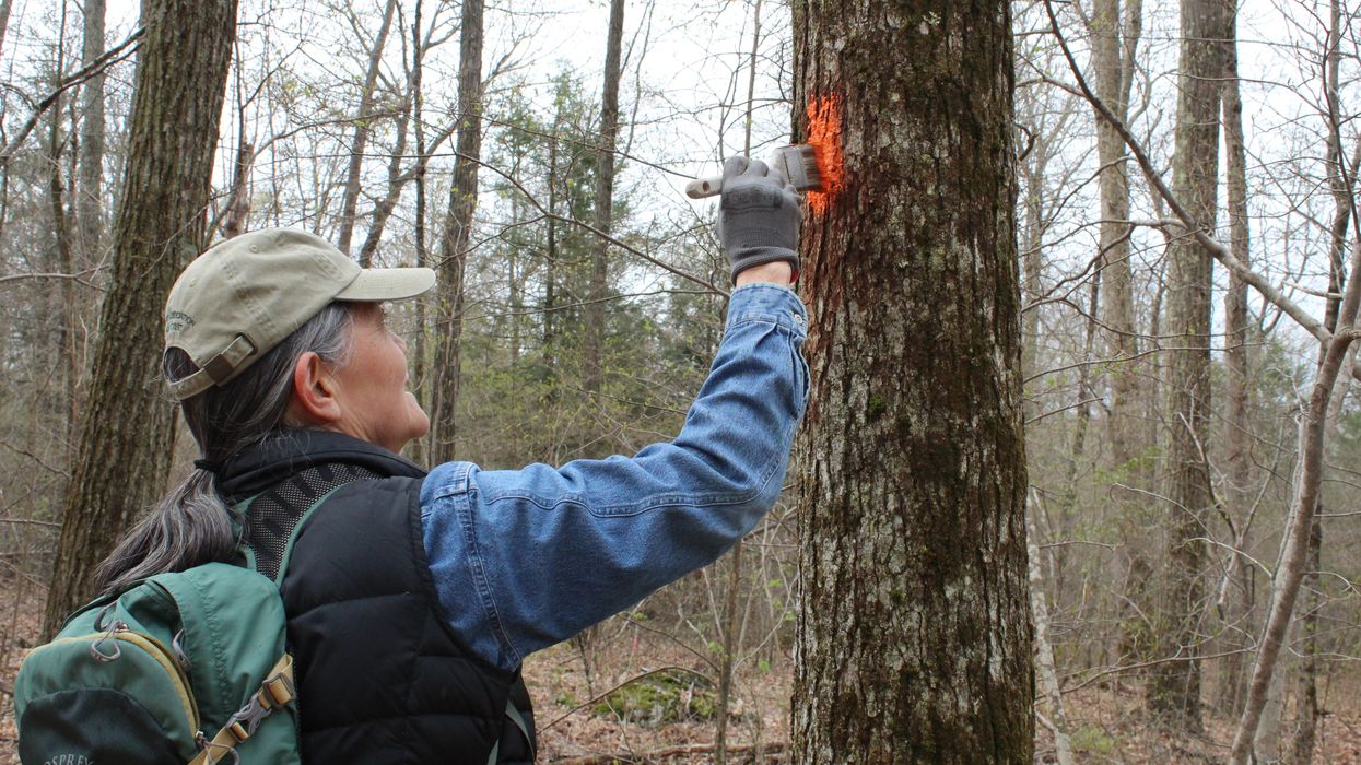 Volunteers clear trails at Lakeville’s Yoakum Preserve