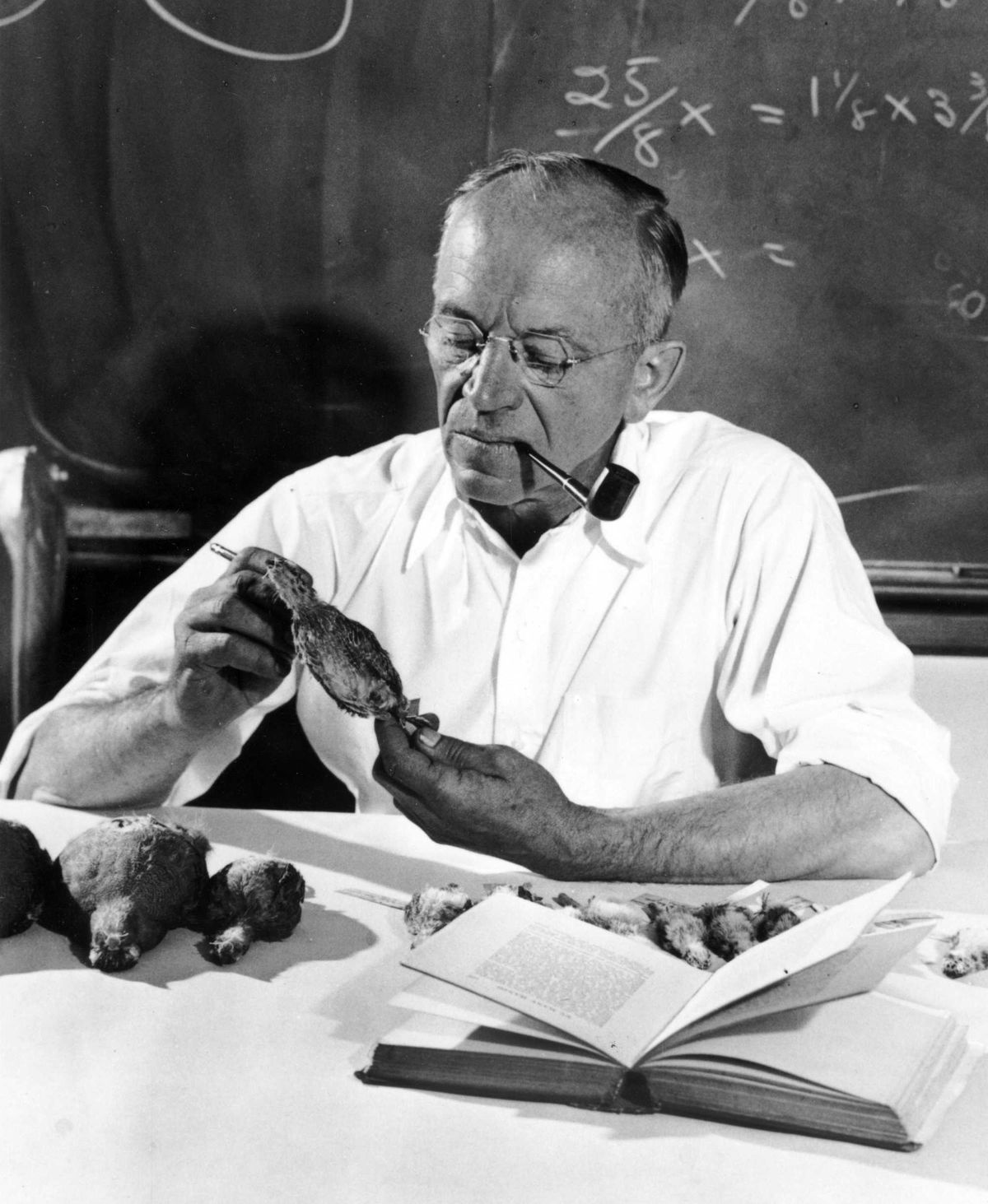 Leopold Week honors land and legacy