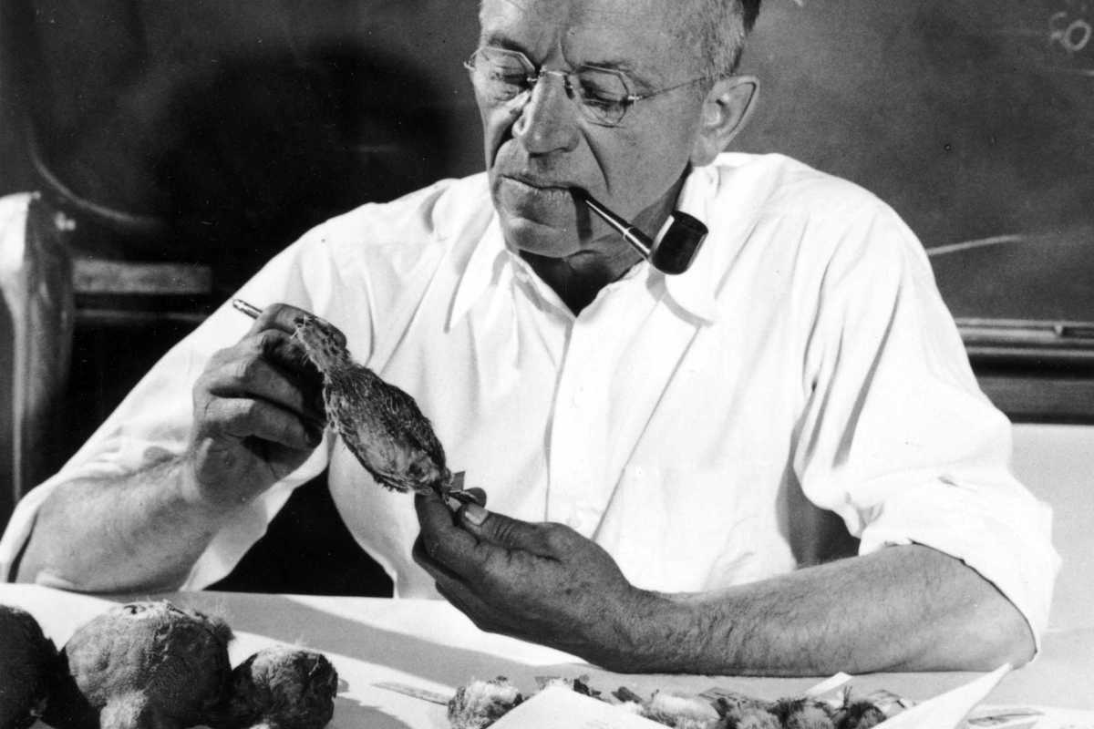 Leopold Week honors land and legacy