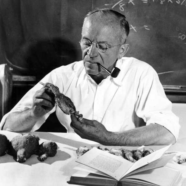 Leopold Week honors land and legacy