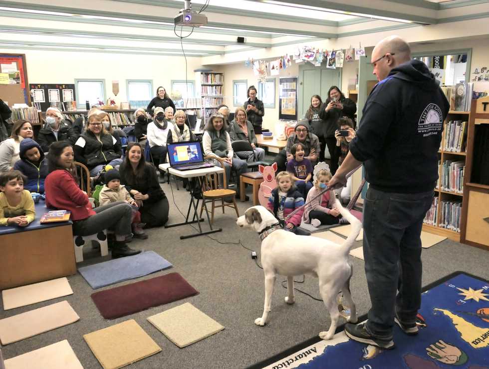 Dogs charm children at Kent library