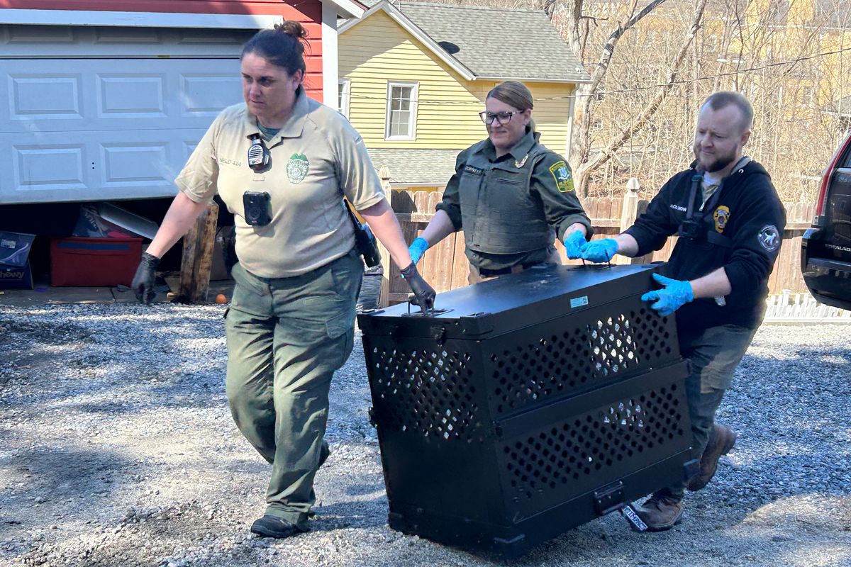 Search for missing dog leads to animal cruelty arrest; 27 dogs rescued