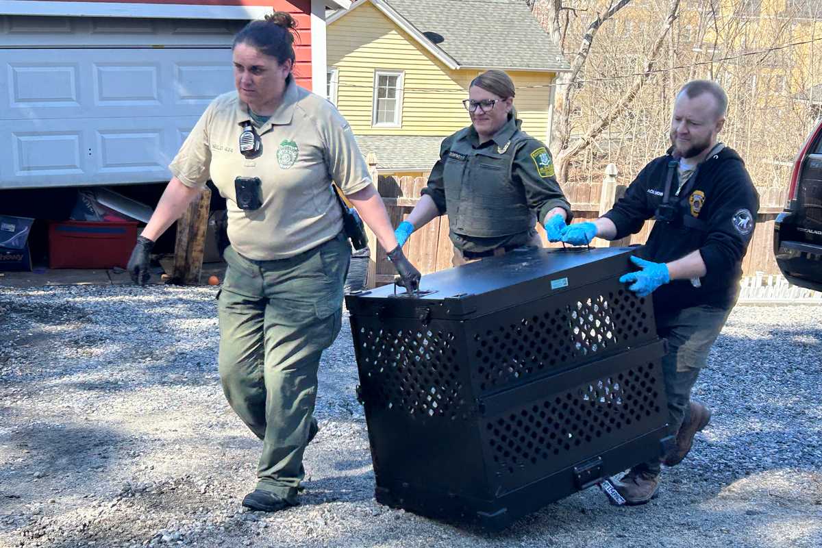 Search for missing dog leads to animal cruelty arrest; 27 dogs rescued