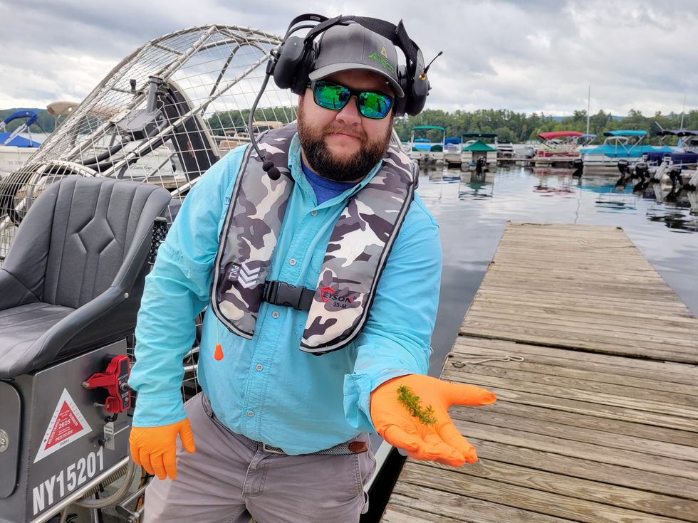 Hydrilla scare prompts boat ban at Lakeville Lake