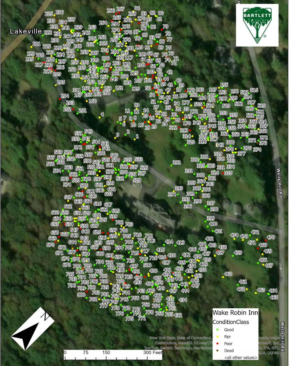 Wake Robin Inn planners introduce tree plan