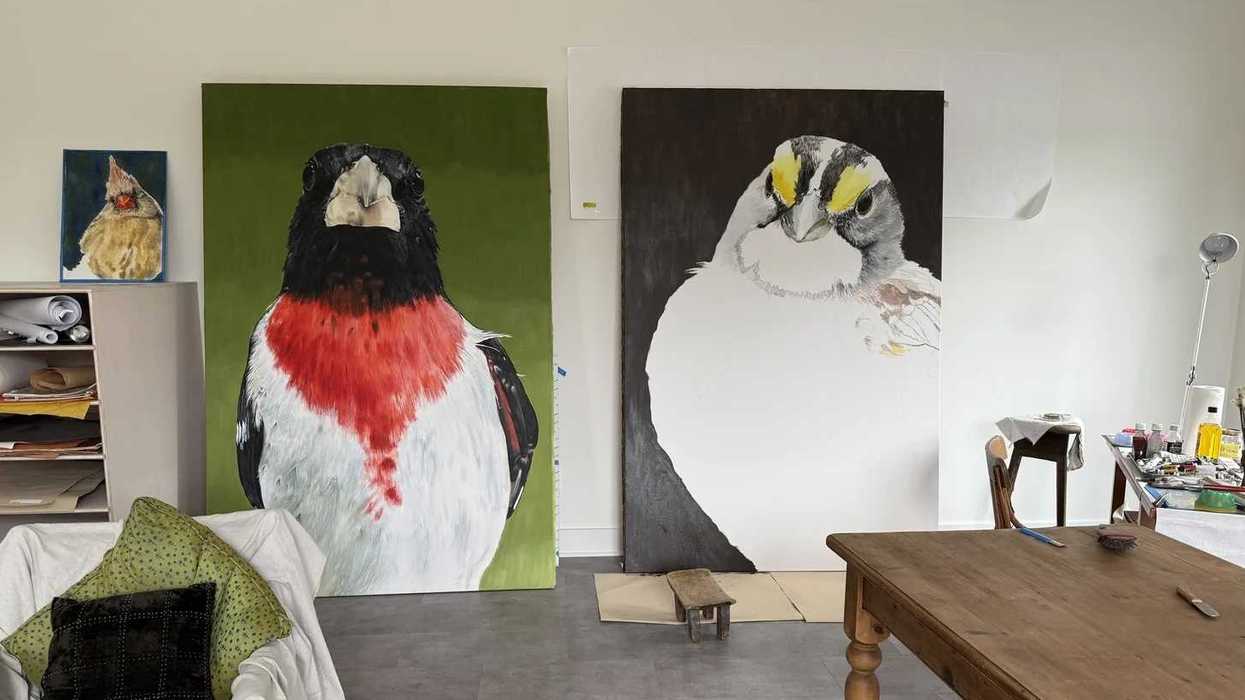 Winter Weekend in Norfolk