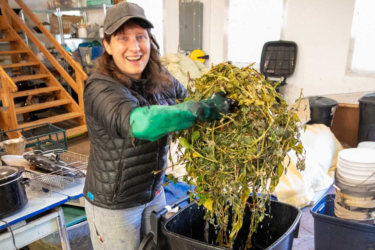 Indigo girls: a collaboration in process and pigment