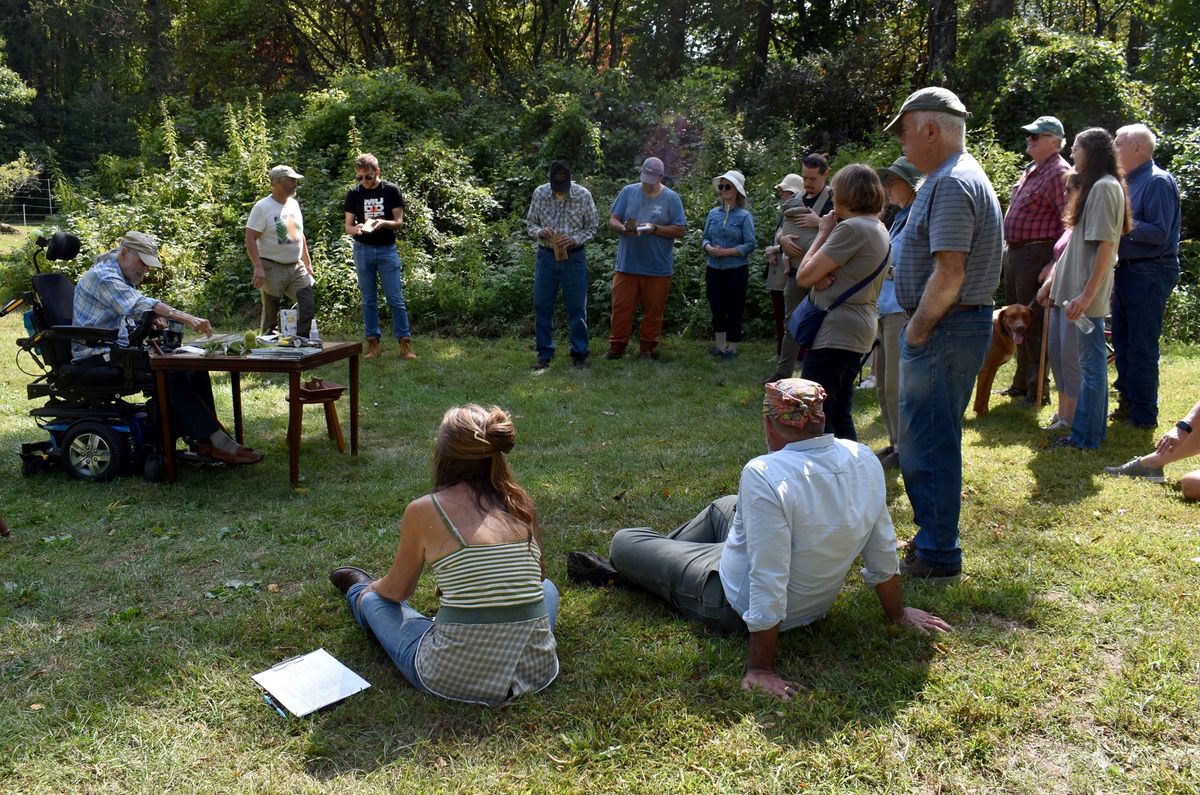 Rediscovering America’s long lost chestnut tree