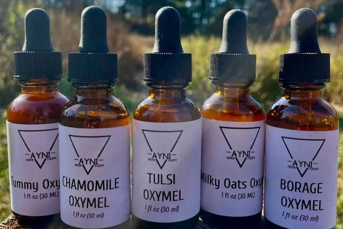 Holiday craft fairs and DIY workshops: a seasonal preview