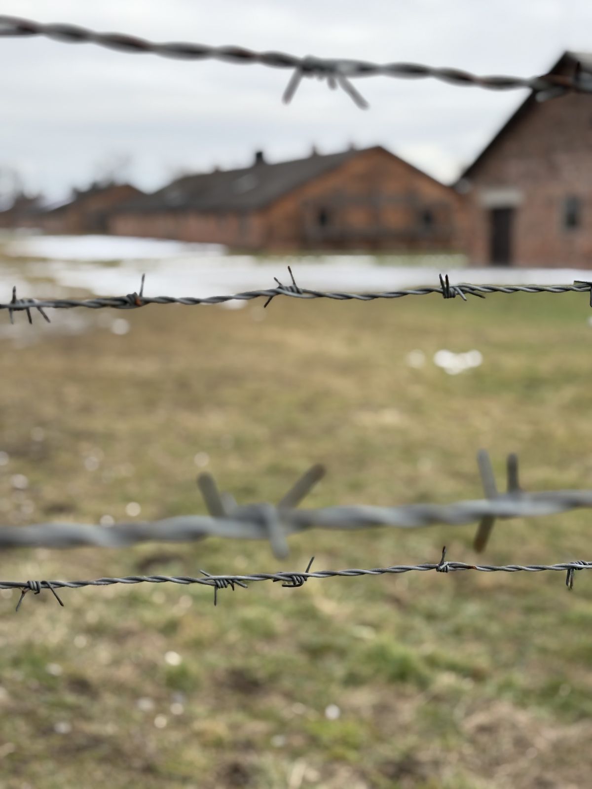 Honoring the past: bearing witness at Auschwitz