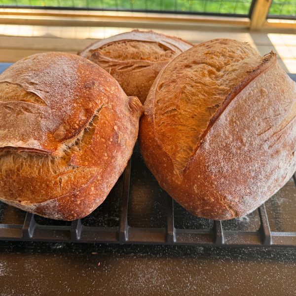 Black Crust Bakery pop-up at Center on Main