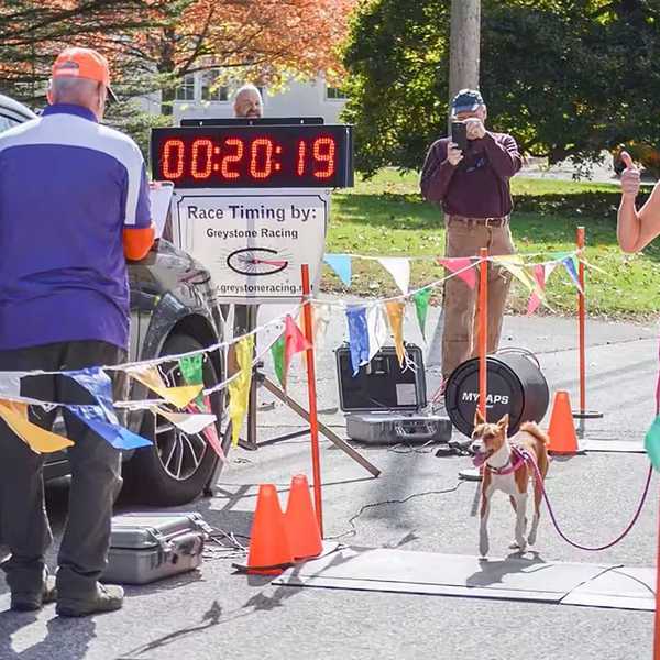 Run & Wag 5K returns to Cornwall Oct. 17
