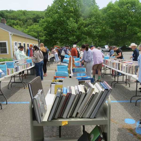 Book lovers flock to opening day of Kent library sale