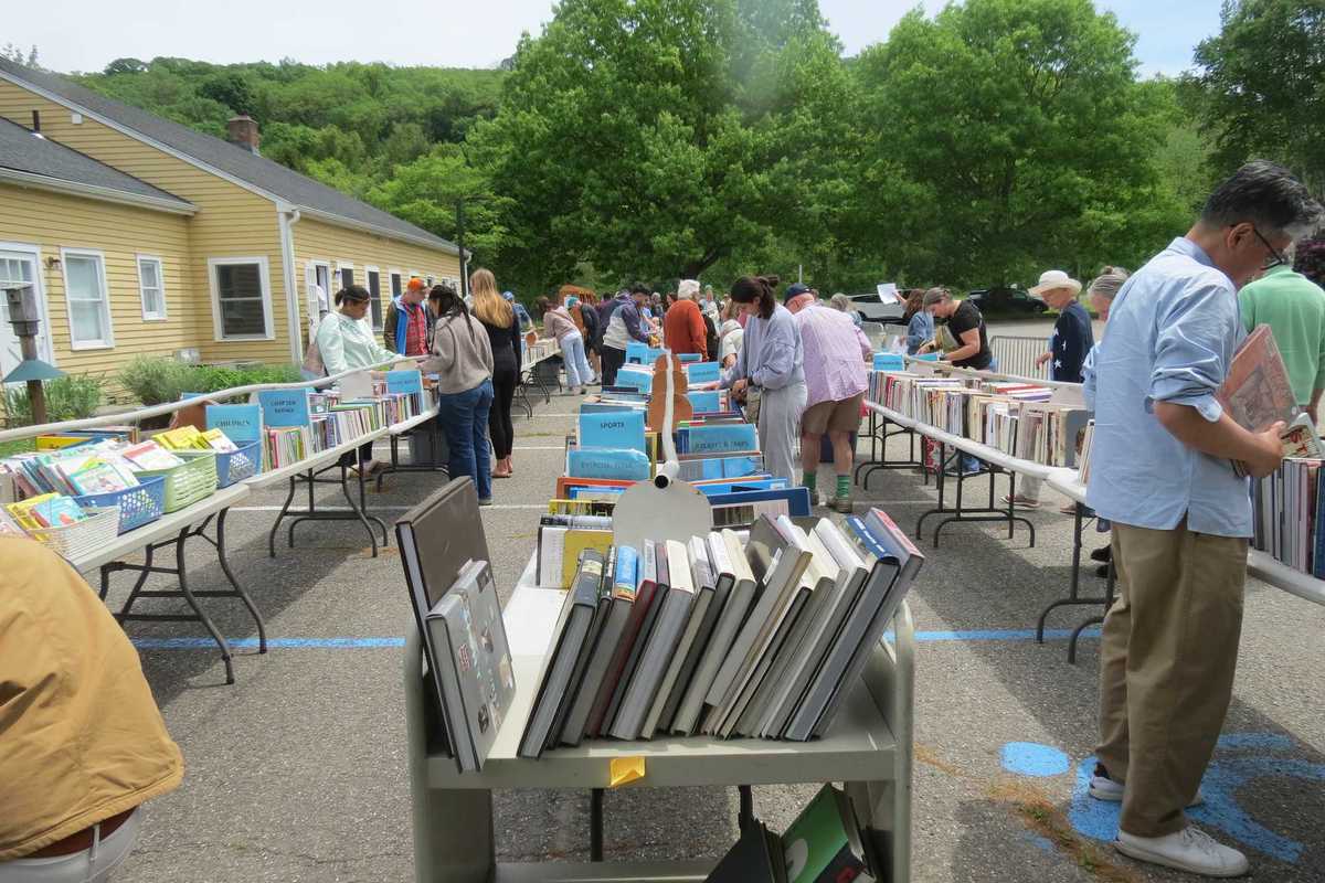 Book lovers flock to opening day of Kent library sale