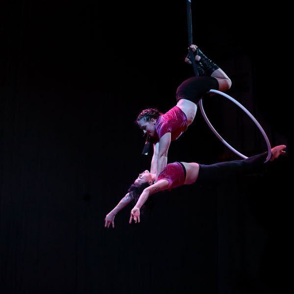 The circus is coming to town: CONTRArily