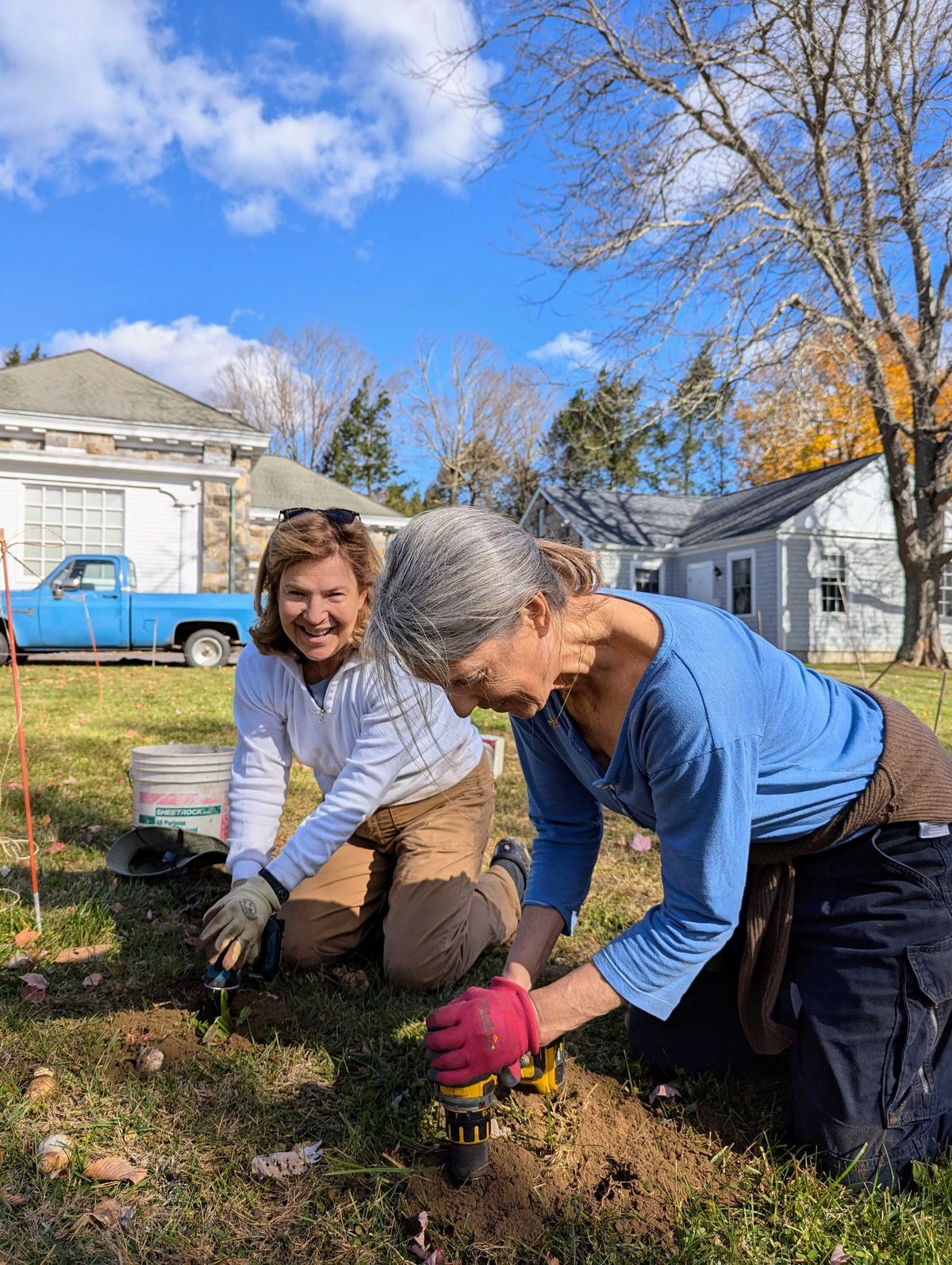 Garden Club plants 1,000 more bulbs