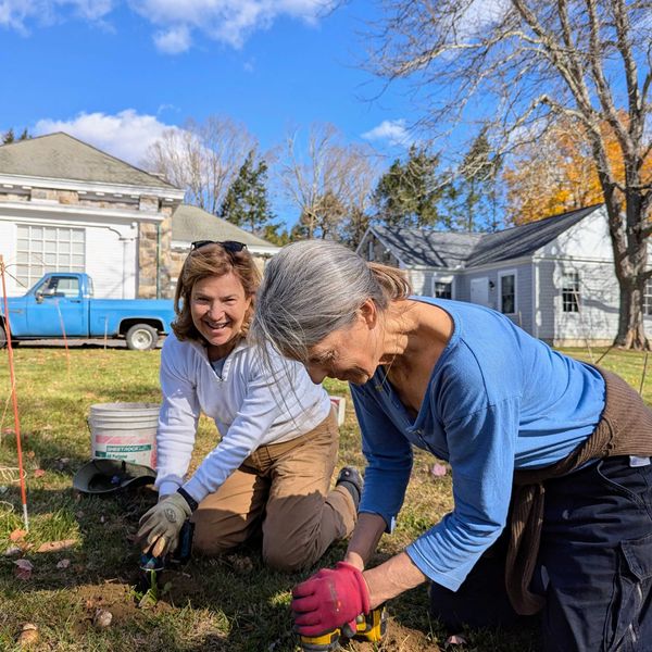 Garden Club plants 1,000 more bulbs