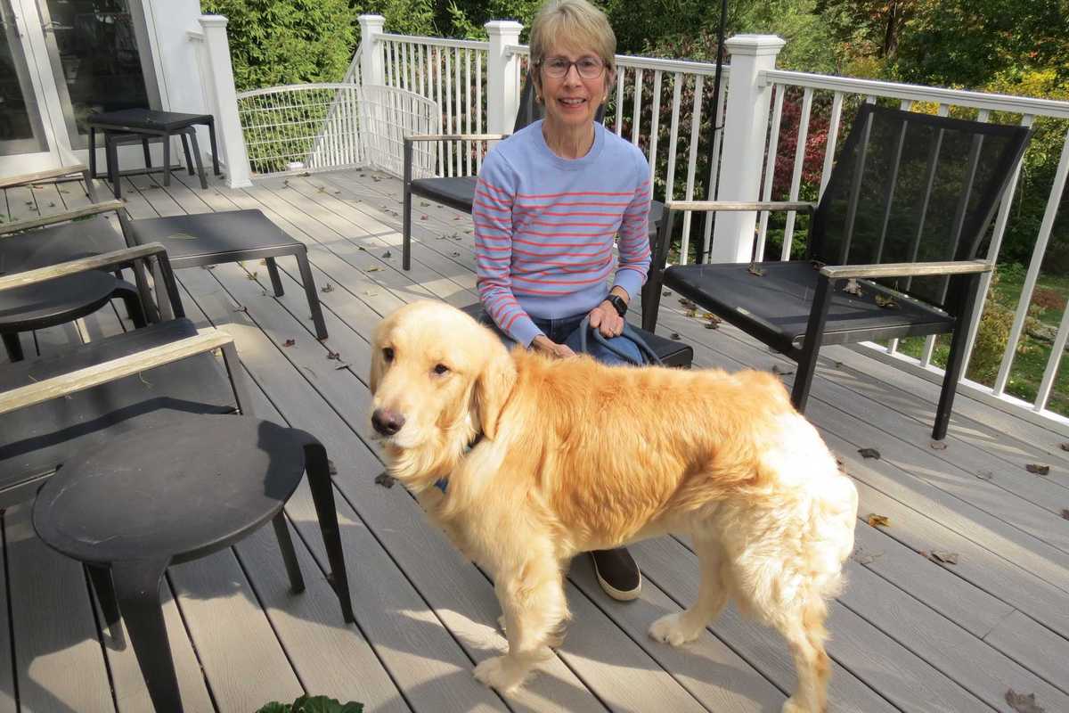 Kent rallies to bring Buddy home