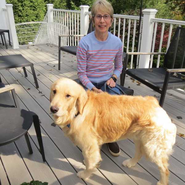Kent rallies to bring Buddy home