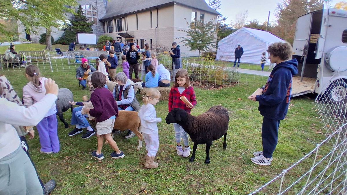 Sheep join moviegoers for Fall Festival kickoff